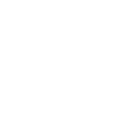 logo white transparent (2)